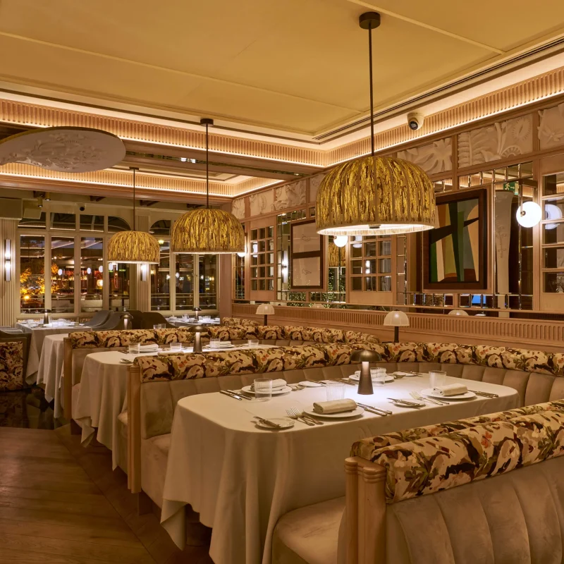 Babette_Lolo Mestanza (Reducida)