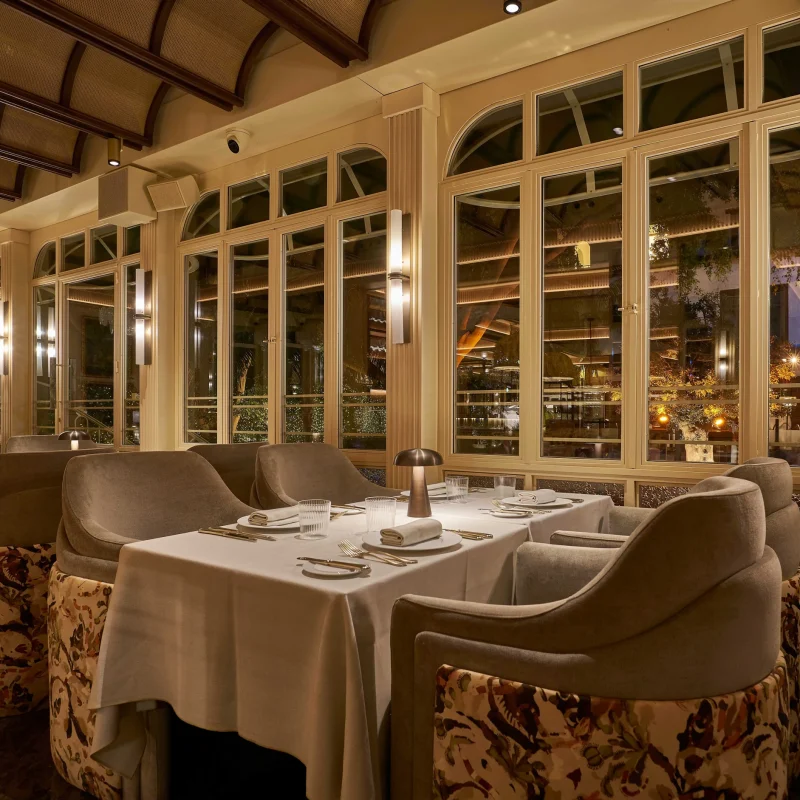 Babette_Lolo Mestanza (Reducida)