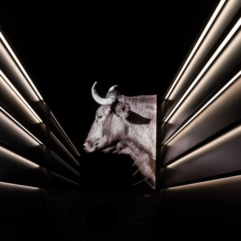 Leña_ Lolo Mestanza_-4_2_8