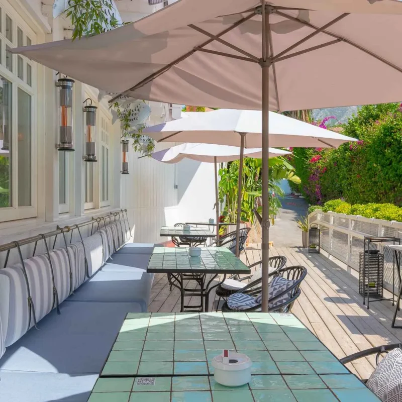 Lobito de Mar_ Lolo Mestanza-26_6_11zon_2_11zon